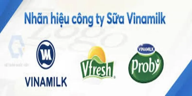 Bảo hộ nhãn hiệu_1
