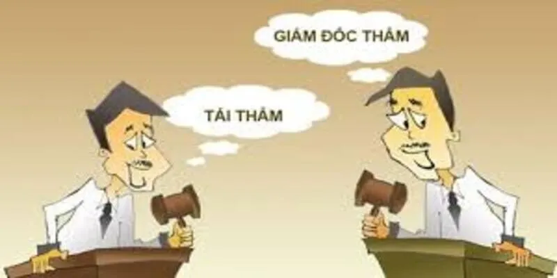 Tư Vấn Thủ Tục Giám Đốc Thẩm, Tái Thẩm