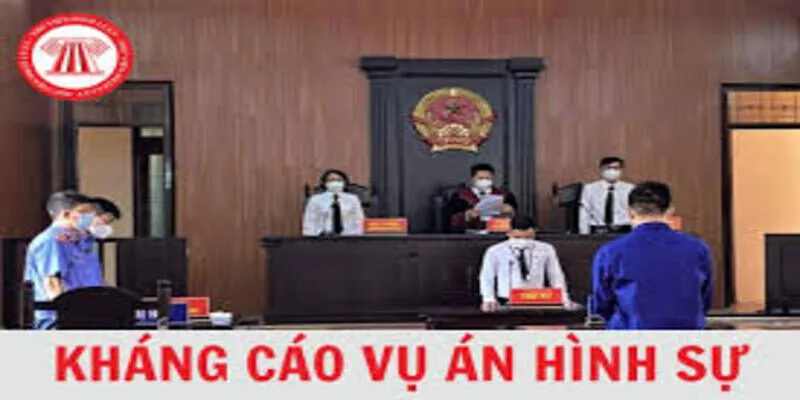 Tư Vấn Thủ Tục Kháng Cáo Vụ Án Hình Sự