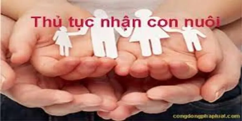 Tư Vấn Thủ Tục Nhận Nuôi Con Nuôi