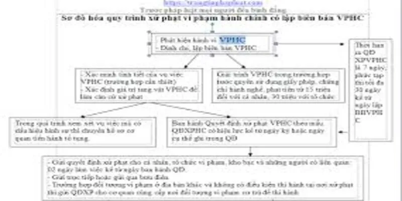 Tư Vấn Trình Tự Xử Lý Vi Phạm Hành Chính