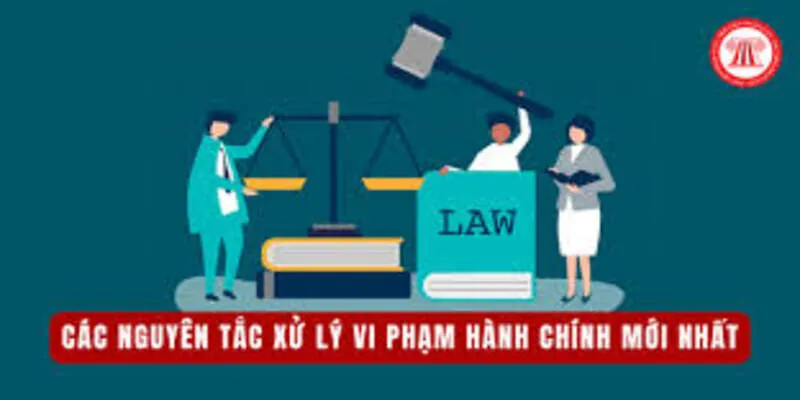 Tư Vấn Xử Phạt Hành Chính